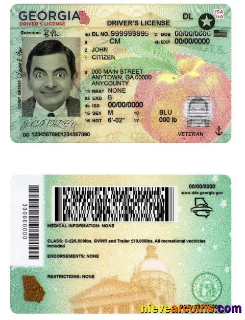 USA Georgia driving license (2019 – present)